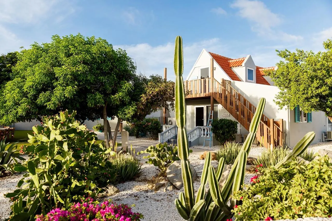Aruba Boutique Apartments - Adults Only Noord
