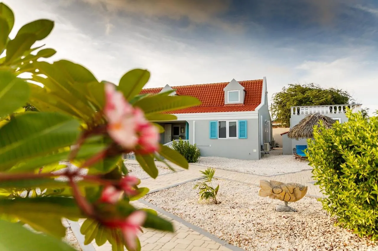 Aruba Boutique Apartments - Adults Only Noord