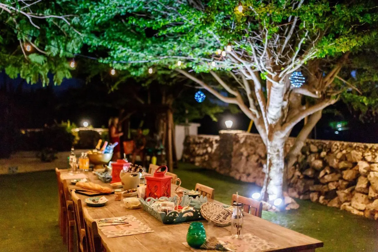 Aruba Boutique Apartments - Adults Only Noord 0*,  Aruba
